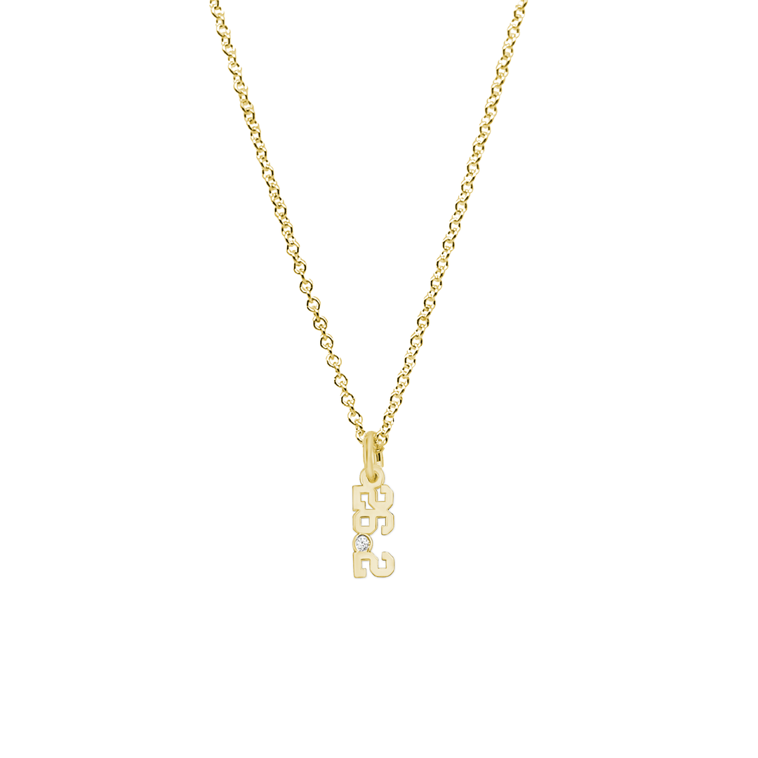 26.2 Pendant Necklace with Diamond